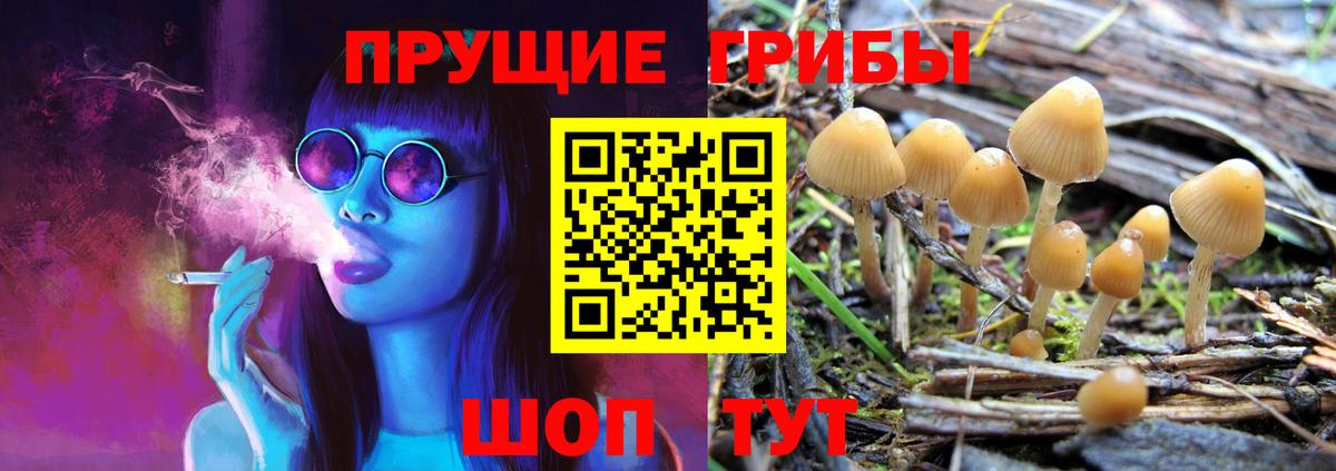 Псилоцибиновые грибы GOLDEN TEACHER  Вход с VPN  Боровичи 